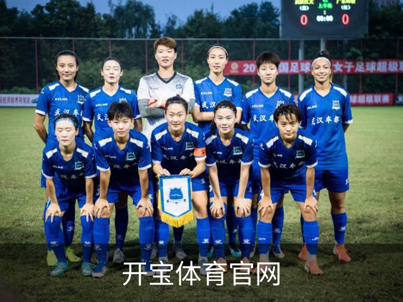 开宝体育官网概况